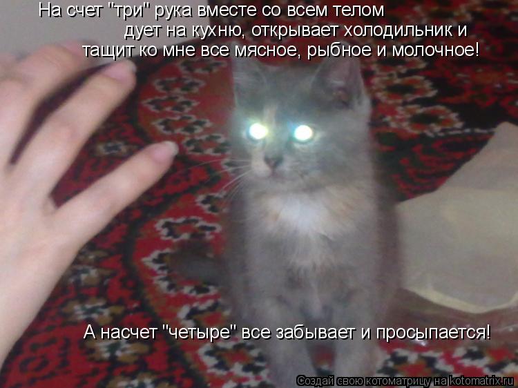 На счет "три" рука вместе со всем телом дует на кухню, открывает холодильник и тащит ко мне все мясн... Котоматрица: На счет "три" рука вместе со всем телом дует на кухню, открывает холодильник и тащит ко мне все мясное, рыбное и молочное! А насчет "четыре" в