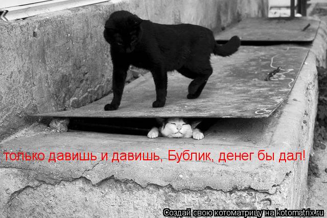 только давишь и давишь, Бублик, денег бы дал!... Котоматрица: только давишь и давишь, Бублик, денег бы дал!