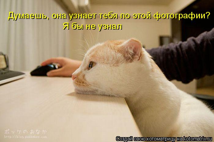 Думаешь, она узнает тебя по этой фотографии? Я бы не узнал... Котоматрица: Думаешь, она узнает тебя по этой фотографии? Я бы не узнал