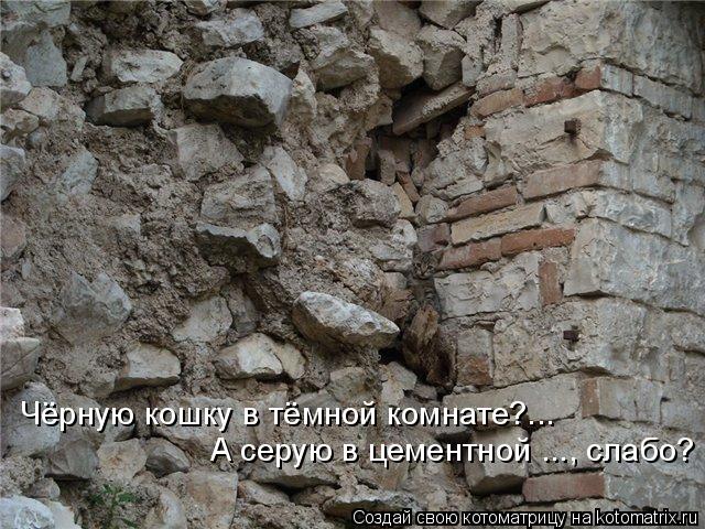 Чёрную кошку в тёмной комнате?... А серую в цементной ..., слабо?... Котоматрица: Чёрную кошку в тёмной комнате?... А серую в цементной ..., слабо?