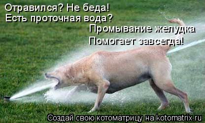 Отравился? Не беда! Есть проточная вода? Промывание желудка Помогает завсегда!... Котоматрица: Отравился? Не беда! Есть проточная вода? Промывание желудка Помогает завсегда!
