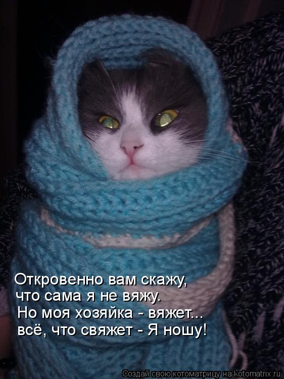 Откровенно вам скажу, что сама я не вяжу. Но моя хозяйка - вяжет... всё, что свяжет - Я ношу!... Котоматрица: Откровенно вам скажу, что сама я не вяжу. Но моя хозяйка - вяжет... всё, что свяжет - Я ношу!