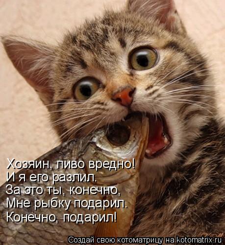 Котоматрица: Хозяин, пиво вредно! И я его разлил. За это ты, конечно, Мне рыбку подарил. Конечно, подарил!