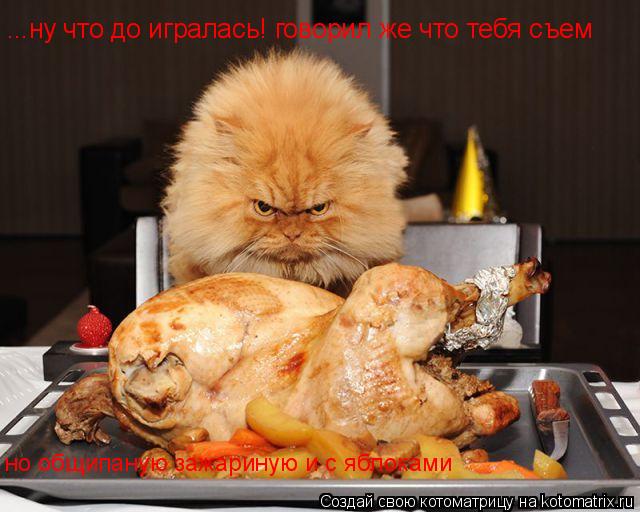 ...ну что до игралась! говорил же что тебя съем но общипаную зажариную и с яблоками... Котоматрица: ...ну что до игралась! говорил же что тебя съем но общипаную зажариную и с яблоками