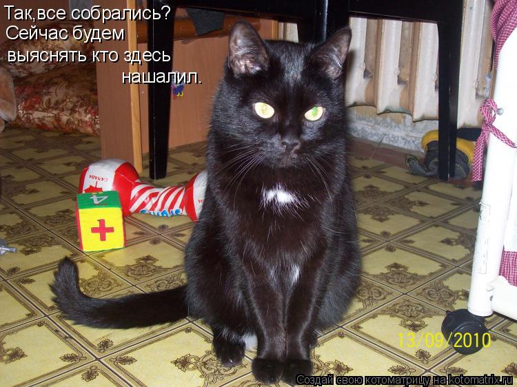 Так,все собрались? Сейчас будем выяснять кто здесь нашалил.... Котоматрица: Так,все собрались? Сейчас будем выяснять кто здесь нашалил.