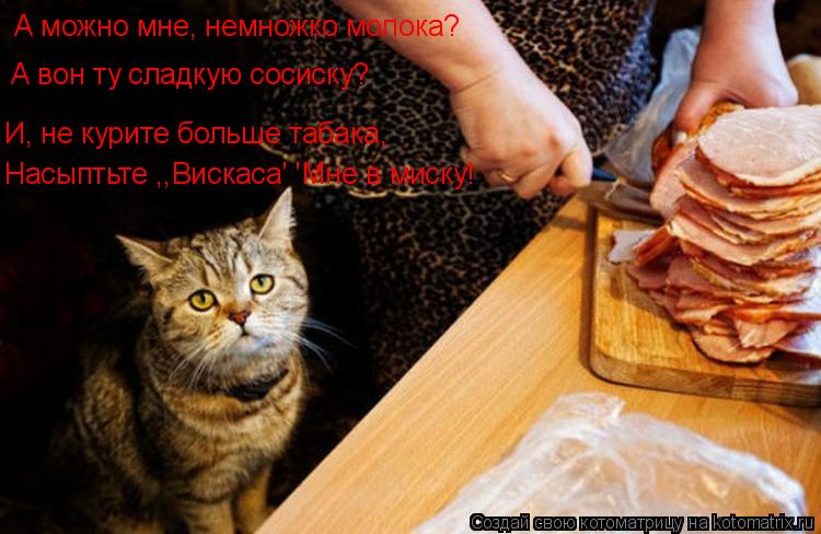 А можно мне, немножко молока? А вон ту сладкую сосиску? И, не курите больше табака, Насыптьте ,,Виска... Котоматрица: А можно мне, немножко молока? А вон ту сладкую сосиску? И, не курите больше табака, Насыптьте ,,Вискаса' 'Мне в миску!