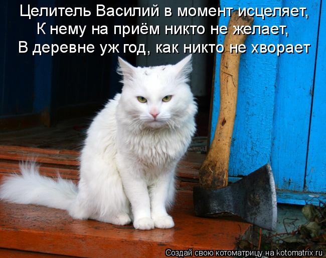 Целитель Василий в момент исцеляет, К нему на приём никто не желает, В деревне уж год, как никто не х... Котоматрица: Целитель Василий в момент исцеляет, К нему на приём никто не желает, В деревне уж год, как никто не хворает