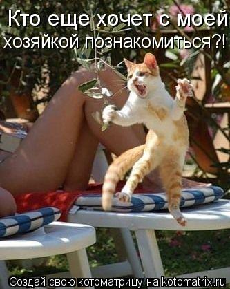 Кто еще хочет с моей хозяйкой познакомиться?!... Котоматрица: Кто еще хочет с моей хозяйкой познакомиться?!