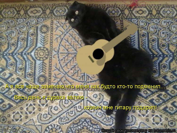 А я все чаще замечаю,что меня как будто кто-то подменил... Весь день я дурака валяю - хозяин мне гит... Котоматрица: А я все чаще замечаю,что меня как будто кто-то подменил... Весь день я дурака валяю - хозяин мне гитару подарил!