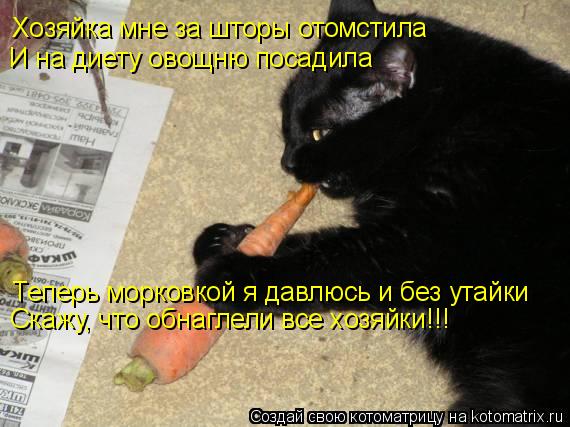 Хозяйка мне за шторы отомстила И на диету овощню посадила Теперь морковкой я давлюсь и без утайки Ска... Котоматрица: Хозяйка мне за шторы отомстила И на диету овощню посадила Теперь морковкой я давлюсь и без утайки Скажу, что обнаглели все хозяйки!!!