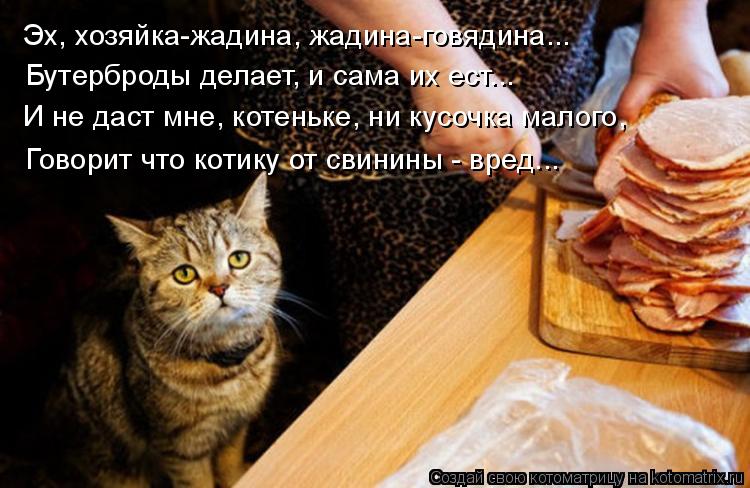 Котоматрица: Эх, хозяйка-жадина, жадина-говядина... Бутерброды делает, и сама их ест... И не даст мне, котеньке, ни кусочка малого, Говорит что котику от свин