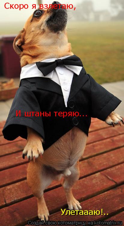 Скоро я взлетаю, И штаны теряю... Улетаааю!..... Котоматрица: Скоро я взлетаю, И штаны теряю... Улетаааю!..