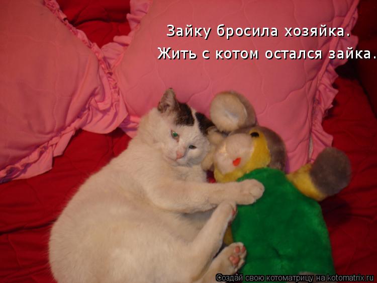 Котоматрица: Жить с котом остался зайка. Зайку бросила хозяйка.