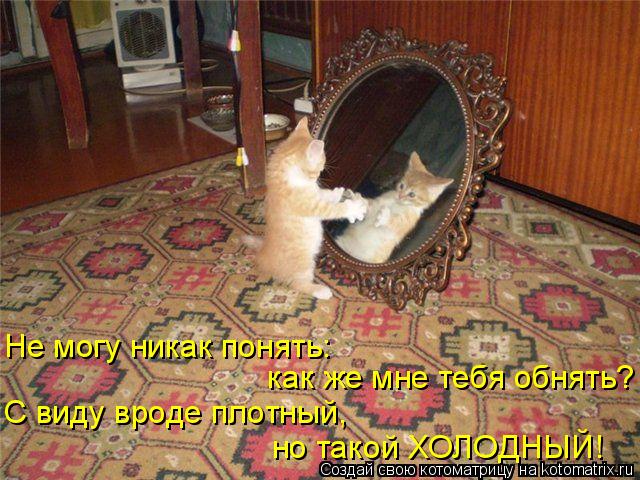 Не могу никак понять: как же мне тебя обнять? С виду вроде плотный, но такой ХОЛОДНЫЙ!... Котоматрица: Не могу никак понять: как же мне тебя обнять? С виду вроде плотный, но такой ХОЛОДНЫЙ!