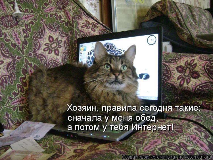 Хозяин, правила сегодня такие: сначала у меня обед, а потом у тебя Интернет!... Котоматрица: Хозяин, правила сегодня такие: сначала у меня обед, а потом у тебя Интернет!