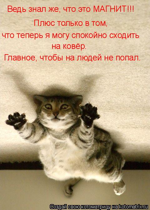 Ведь знал же, что это МАГНИТ!!! Плюс только в том, что теперь я могу спокойно сходить на ковёр. Главн... Котоматрица: Ведь знал же, что это МАГНИТ!!! Плюс только в том, что теперь я могу спокойно сходить на ковёр. Главное, чтобы на людей не попал.