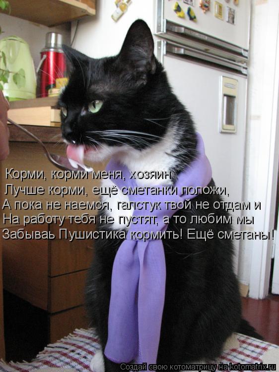 Корми, корми меня, хозяин Лучше корми, ещё сметанки положи, А пока не наемся, галстук твой не отдам и... Котоматрица: Корми, корми меня, хозяин Лучше корми, ещё сметанки положи, А пока не наемся, галстук твой не отдам и На работу тебя не пустят, а то любим мы З