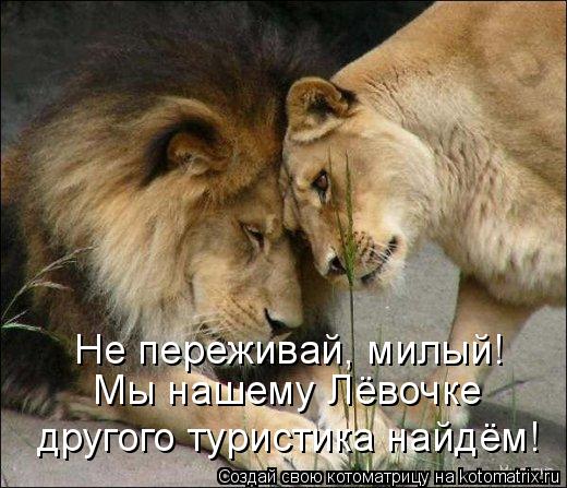 Не переживай, милый! Мы нашему Лёвочке другого туристика найдём!... Котоматрица: Не переживай, милый! Мы нашему Лёвочке другого туристика найдём!