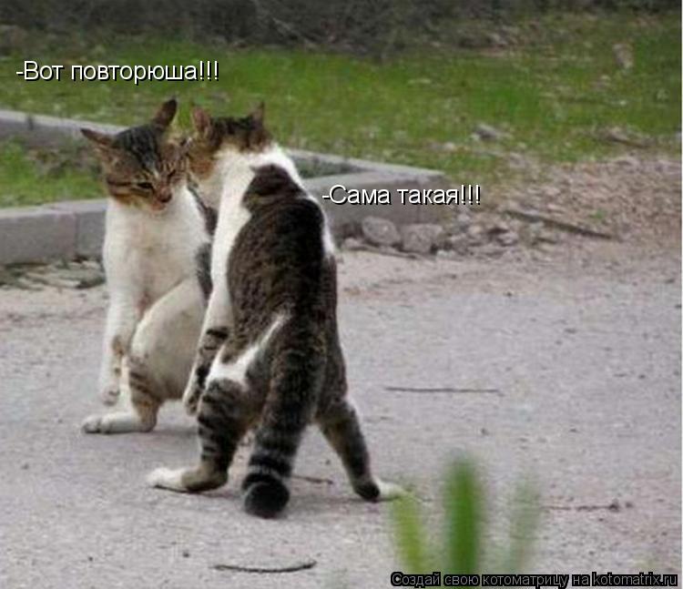 Котоматрица: -Вот повторюша!!! -Сама такая!!!