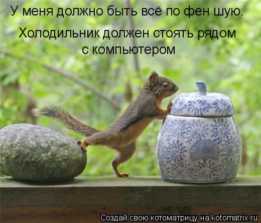 Холодильник должен стоять рядом с компьютером У меня должно быть всё по фен шую.... Котоматрица: Холодильник должен стоять рядом с компьютером У меня должно быть всё по фен шую.