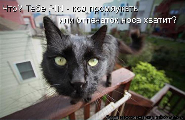 Котоматрица: Что? Тебе PIN - код промяукать  или отпечаток носа хватит?
