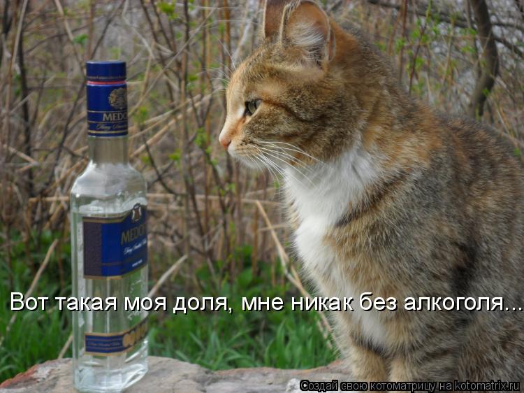 Вот такая моя доля, мне никак без алкоголя...... Котоматрица: Вот такая моя доля, мне никак без алкоголя...