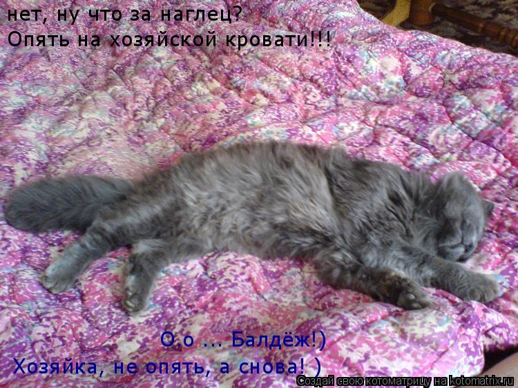 О.о ... Балдёж!) нет, ну что за наглец? Опять на хозяйской кровати!!! Хозяйка, не опять, а снова! )... Котоматрица: О.о ... Балдёж!) нет, ну что за наглец? Опять на хозяйской кровати!!! Хозяйка, не опять, а снова! )