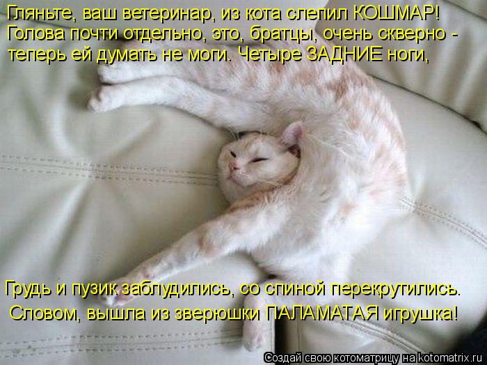 Гляньте, ваш ветеринар, из кота слепил КОШМАР! Голова почти отдельно, это, братцы, очень скверно - ... Котоматрица: Гляньте, ваш ветеринар, из кота слепил КОШМАР! Голова почти отдельно, это, братцы, очень скверно - теперь ей думать не моги. Четыре ЗАДНИЕ но