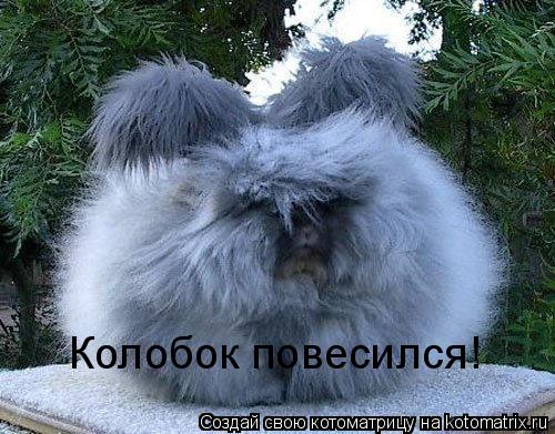 Колобок повесился!... Котоматрица: Колобок повесился!