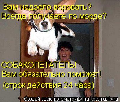 Вам надоело воровать? Всегда получаете по морде? СОБАКОЛЕТАТЕЛЬ! Вам обязательно поможет! (строк дейс... Котоматрица: Вам надоело воровать? Всегда получаете по морде? СОБАКОЛЕТАТЕЛЬ! Вам обязательно поможет! (строк действия 24 часа)