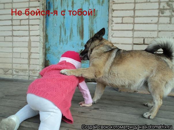 Котоматрица: Не бойся-я с тобой!