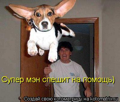 Супер мэн спешит на помощь)... Котоматрица: Супер мэн спешит на помощь)