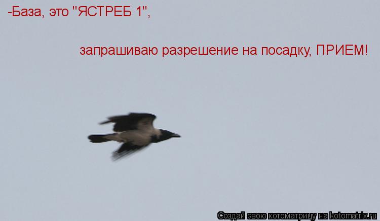 -База, это "ЯСТРЕБ 1", запрашиваю разрешение на посадку, ПРИЕМ!... Котоматрица: -База, это "ЯСТРЕБ 1", запрашиваю разрешение на посадку, ПРИЕМ!