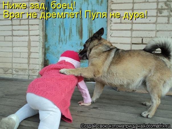 Ниже зад, боец! Враг не дремлет! Пуля не дура!... Котоматрица: Ниже зад, боец! Враг не дремлет! Пуля не дура!