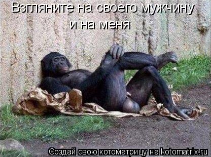 Взгляните на своего мужчину и на меня... Котоматрица: Взгляните на своего мужчину и на меня