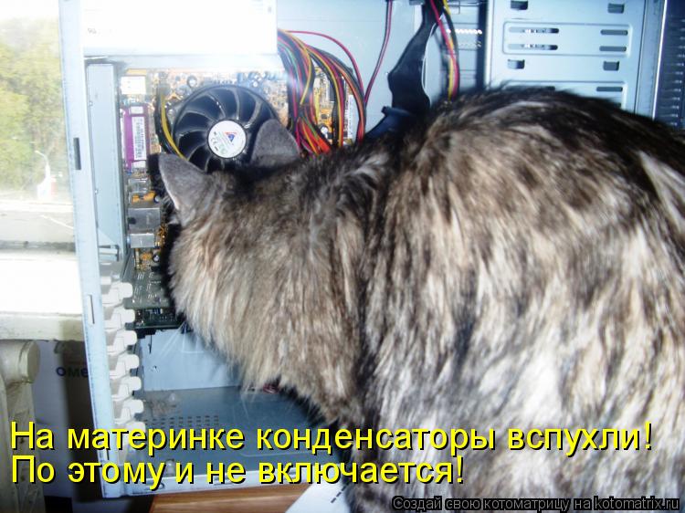 На материнке конденсаторы вспухли! По этому и не включается!... Котоматрица: На материнке конденсаторы вспухли! По этому и не включается!