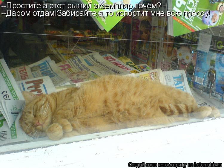 --Простите,а этот рыжий экземпляр почём? --Даром отдам!Забирайте,а то испортит мне всю прессу!... Котоматрица: --Простите,а этот рыжий экземпляр почём? --Даром отдам!Забирайте,а то испортит мне всю прессу!