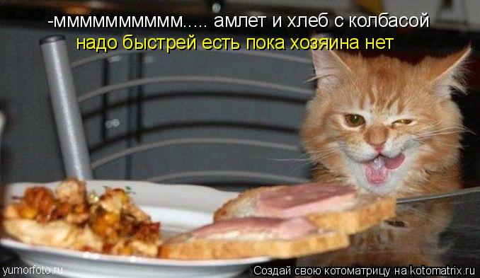 -мммммммммм..... амлет и хлеб с колбасой надо быстрей есть пока хозяина нет... Котоматрица: -мммммммммм..... амлет и хлеб с колбасой надо быстрей есть пока хозяина нет