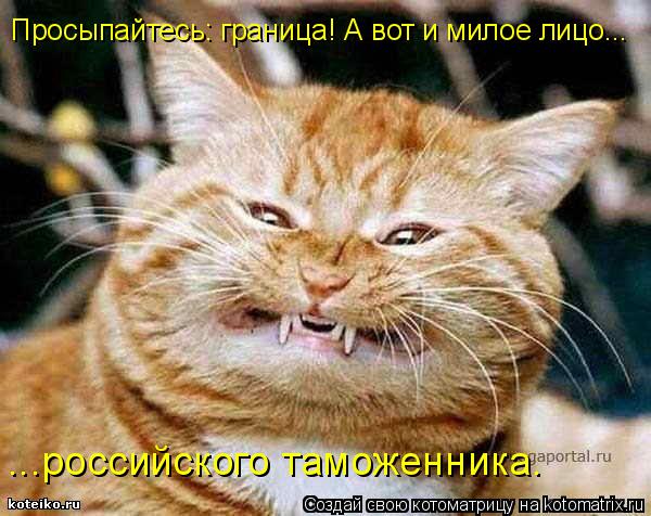 Котоматрица: Просыпайтесь: граница! А вот и милое лицо... ...российского таможенника.