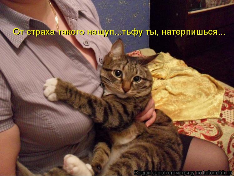 Котоматрица: От страха такого нащуп...тьфу ты, натерпишься...