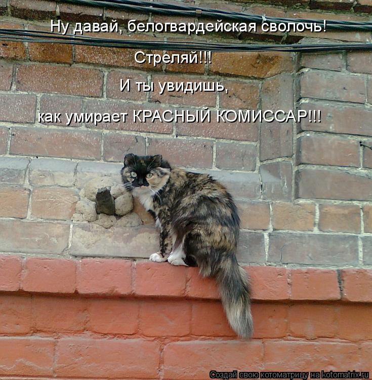 Ну давай, белогвардейская сволочь! Стреляй!!! И ты увидишь, как умирает КРАСНЫЙ КОМИССАР!!!... Котоматрица: Ну давай, белогвардейская сволочь! Стреляй!!! И ты увидишь, как умирает КРАСНЫЙ КОМИССАР!!!