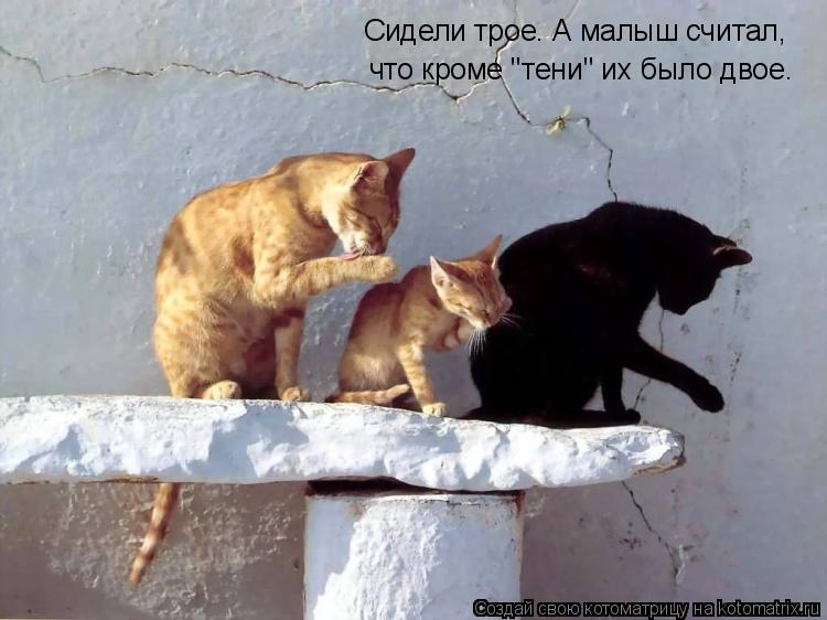Сидели трое. А малыш считал, что кроме "тени" их было двое.... Котоматрица: Сидели трое. А малыш считал, что кроме "тени" их было двое.