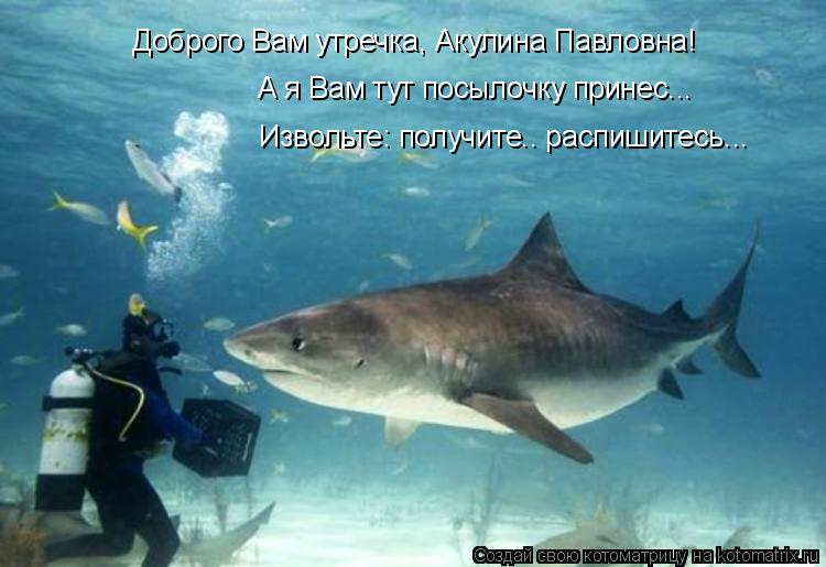 Доброго Вам утречка, Акулина Павловна! Извольте: получите.. распишитесь... А я Вам тут посылочку прин... Котоматрица: Доброго Вам утречка, Акулина Павловна! Извольте: получите.. распишитесь... А я Вам тут посылочку принес...