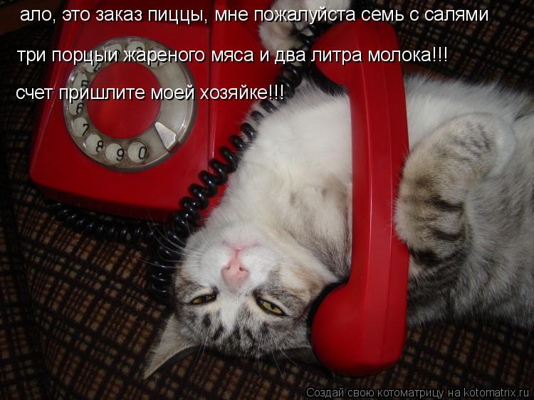 ало, это заказ пиццы, мне пожалуйста семь с салями три порцыи жареного мяса и два литра молока!!! сче... Котоматрица: ало, это заказ пиццы, мне пожалуйста семь с салями три порцыи жареного мяса и два литра молока!!! счет пришлите моей хозяйке!!!