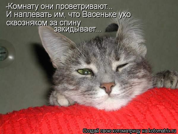 -Комнату они проветривают... И наплевать им, что Васеньке ухо сквозняком за спину закидывает...... Котоматрица: -Комнату они проветривают... И наплевать им, что Васеньке ухо сквозняком за спину закидывает...