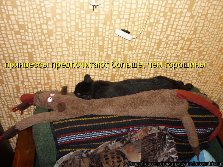 принцессы предпочитают больше, чем горошины... Котоматрица: принцессы предпочитают больше, чем горошины