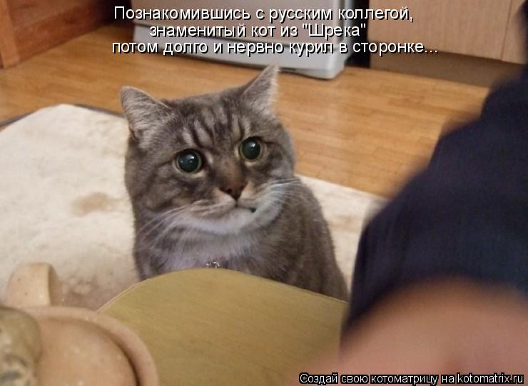 потом долго и нервно курил в сторонке... Познакомившись с русским коллегой, знаменитый кот из "Шрек... Котоматрица: потом долго и нервно курил в сторонке... Познакомившись с русским коллегой, знаменитый кот из "Шрека"