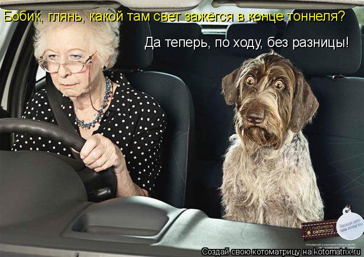 Котоматрица: Бобик, глянь, какой там свет зажёгся в конце тоннеля? Да теперь, по ходу, без разницы!