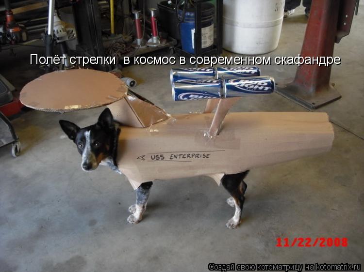 Полёт стрелки в космос в современном скафандре... Котоматрица: Полёт стрелки в космос в современном скафандре