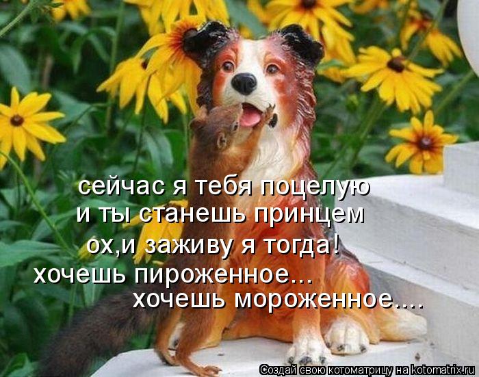 сейчас я тебя поцелую и ты станешь принцем ох,и заживу я тогда! хочешь пироженное... хочешь мороженно... Котоматрица: сейчас я тебя поцелую и ты станешь принцем ох,и заживу я тогда! хочешь пироженное... хочешь мороженное....